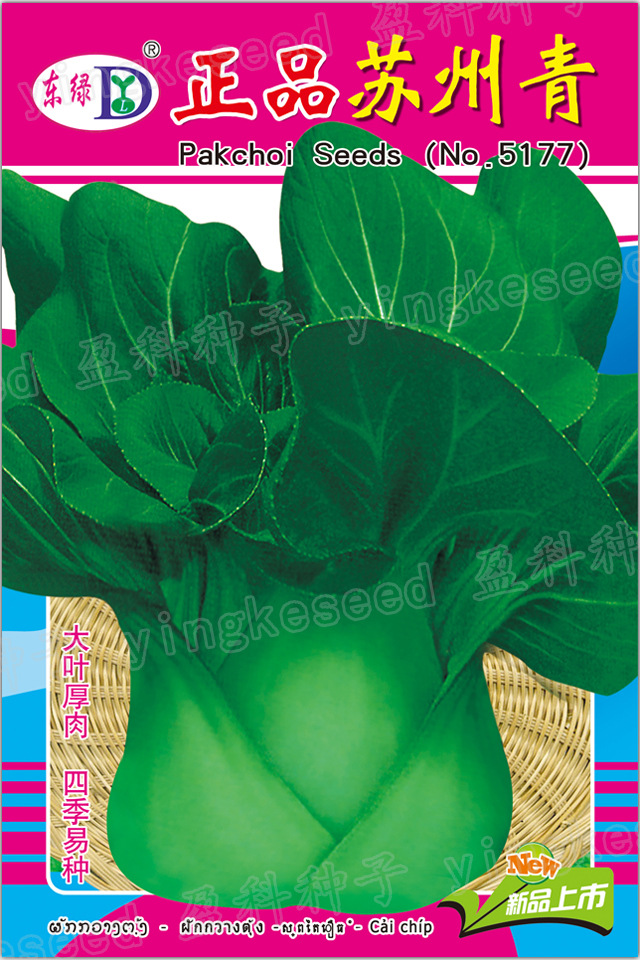 正品苏州青一一一一