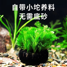 �G�����������������ˮ��һ���׃���ˮ�|Ʒһ������ҊԔ��