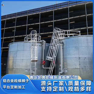 Manufacturer Customized Aluminum Alloy Climbing Ladder Water Tank Inspection Platform Aluminum Profile Escalator Climbing Ladder Lift