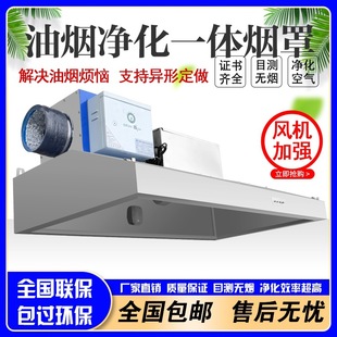 Stainless steel hood commercial oil fume purifier all-in-one machine earth stove hotel fried chicken low-altitude emission range hood