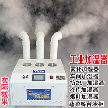 IӝôF܇gS߲˟ݼӝC