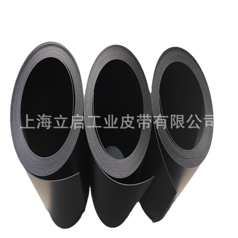 西格林高导电碳帘带 交叉铺网机皮带 卧式浸渍干燥机输送带