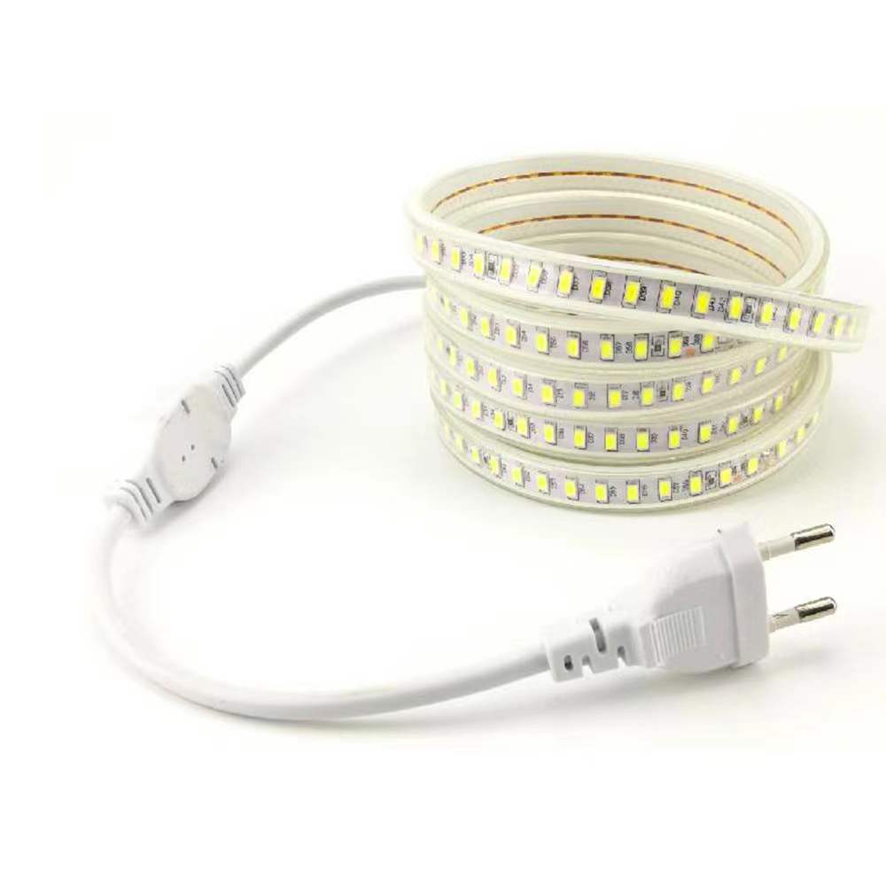 LED high voltage lamp with 5630 flexible 120 lamp 180 lamp outdoor engineering waterproof lamp strip 220V copper wire wide version