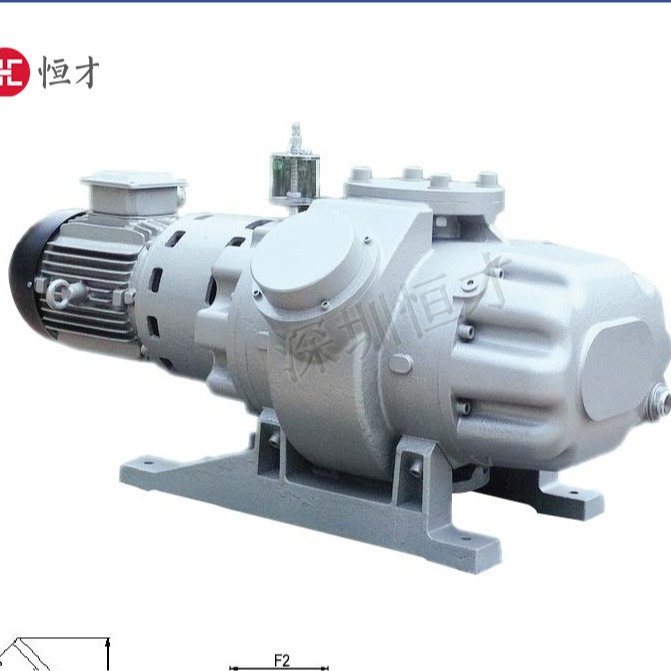 ZJ-600三叶罗茨真空泵 高效率 前级泵配套 过滤粉尘杂质 工业泵