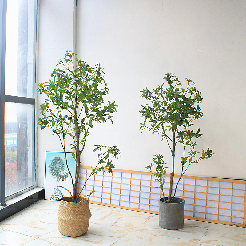 Chino-japonés ropa hotel sala de estar ventana piso floral paisaje planta verde traje de plástico simulación borracho madera
