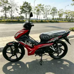 Gücləndirilmiş yükdaşıyan əyri şüalı motosiklet çərçivəsi, kənd bazarı üçün