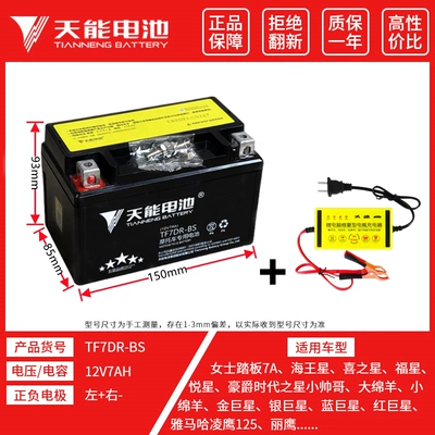 Tiineng Pedal Motorcycle Battery Power supply, ignition system accessories - tianneng-tf7dr-bs-scooter-charger