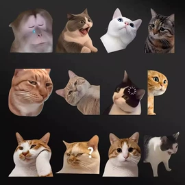 车身贴;防撞/刮条;摩托车把套