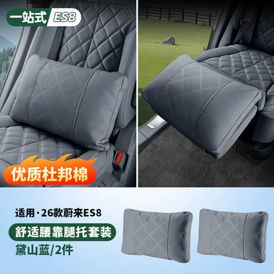Lumbar Support, and Special Accessories for — Waist support - 26-models-of-es8-zero-gravity-seat-leg-support-lumbar-support-daishan-blue