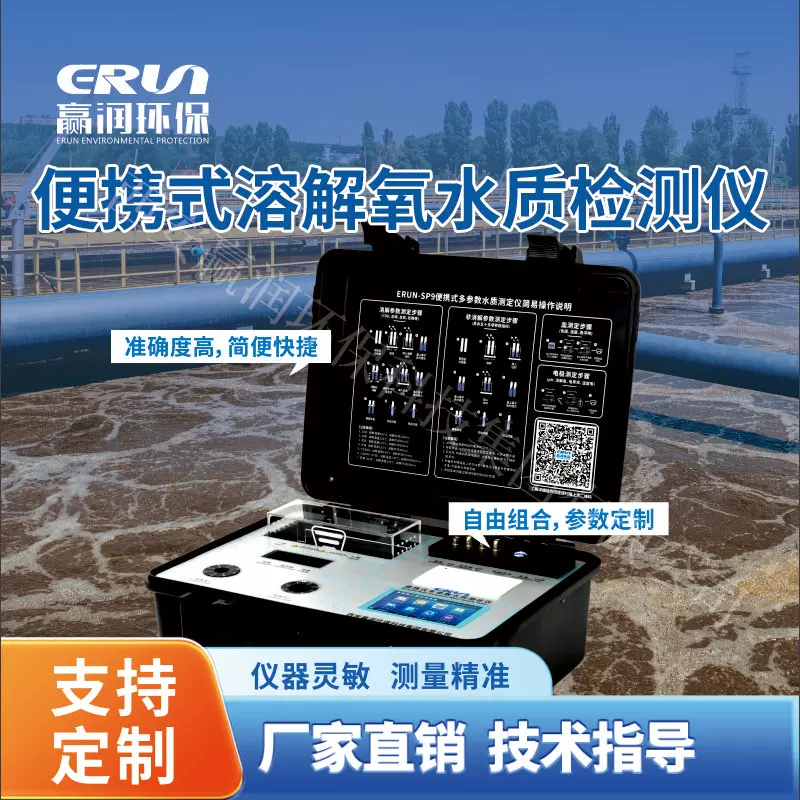 溶氧仪便携式溶解氧水质检测仪ERUN-SP9-A5便携溶解氧水质分析仪