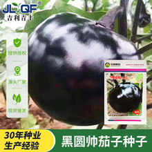 �ڈA�����ӷN�Ӻ�������A�ѷN���r�Ҳˈ@�߲˷N�ӬF؛���l�׷Nֲ