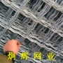 棱形菱形定制围栏美格网