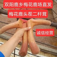 ����÷��¹�����r¹��������֦�^������r¹��Ƭ¹�������ݾ��Ҝ�