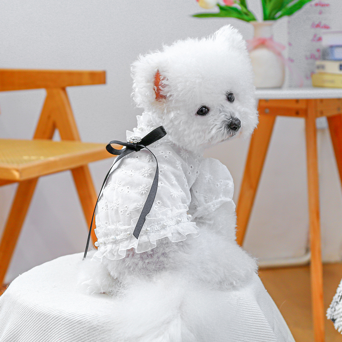 PETCIRCLE 애완동물 의류, 중소형견 의류, 애완용품, 애견 의류, 프렌치 스타일 펀칭 셔츠