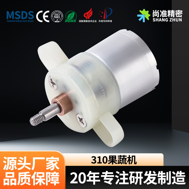 310 Fruit and Vegetable Cleaner High-Power Vegetable Washing Machine Dc Motor Micro Motor Manufacturer Wholesale Brushed Motor
