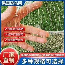 �Ӵ��������÷��B�W���o��ݮ��������ҵ��ȹ��@�����~���Bֳ��W