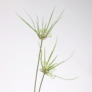 ����Gֲ�L܇�� ��c����Gֲ�����L܇�ݼҾӿ͏d�b[���廨