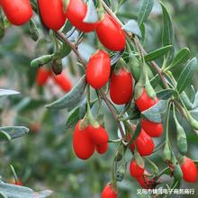 �������������������� �������������ϱ�����ֲ