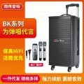 拉杆音响户外广场舞移动蓝牙音箱大功率电瓶直播k歌演出现代教学