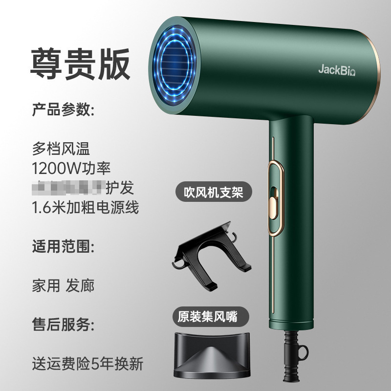 国境を越えたアマゾンマイナスイオン電気ブロー家庭用ヘアサロン大出力ブルーレイ電気ブローメーカー卸売り|undefined