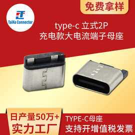 爆款现货供应type-c连接器焊线式/立式2P充电款大电流端子母座