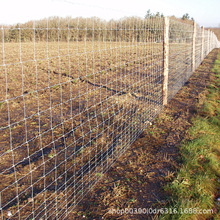 ��䓾��F��ԭ�Bֳ¹�W ���ڷ����Bֳ¹�W ���W���o�W��ԭ�W