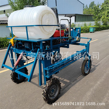 ݆߼ܴș܇ ʽׇșC 10׌FC