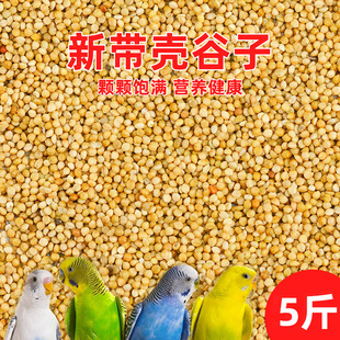 �W�^�B������B�Z���S���ӎ���С�׻�Ƥ������Pĵ���������l���l