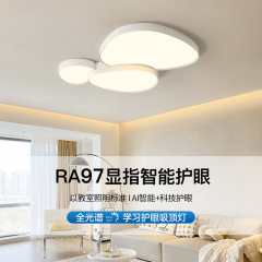 極簡客廳主燈燈具全屋套餐組合現代簡約大氣創意米家智能吸頂燈