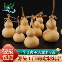 ������ؔ��������ؼ����ĳǴ���������{�����^�Ʒ���l���]