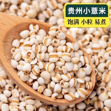 ޲������؛޲���ʴ���t����С���F���r�Ҵ�޲�״ּZ����s�Z���l