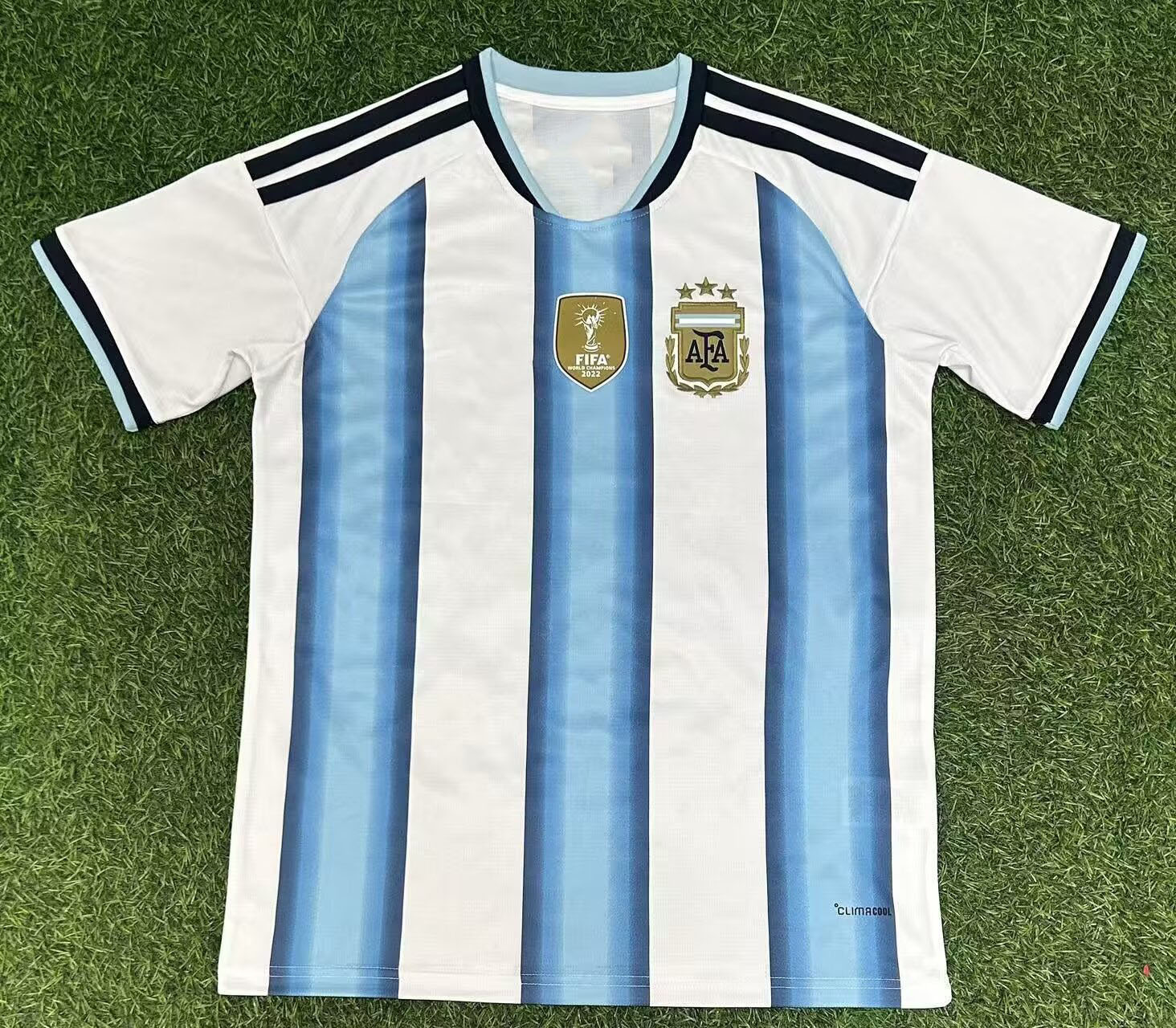 Argentina has a championship medal at home / S