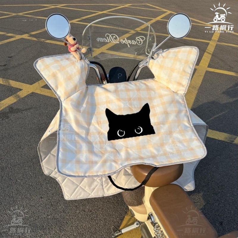 노란색 체크무늬 검은 고양이