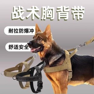 Dog Leash, Large Dog Harness, Vest Collar, Horse Dog Golden Retriever, German Shepherd, Border Collie Collar, Dog Walking Leash