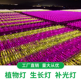 Source Manufacturer Wholesale Plant Growth Lamp 12W-100W Fill Light Ufo Lamp Bulb Lamp Industrial and Mining Lamp Spotlight