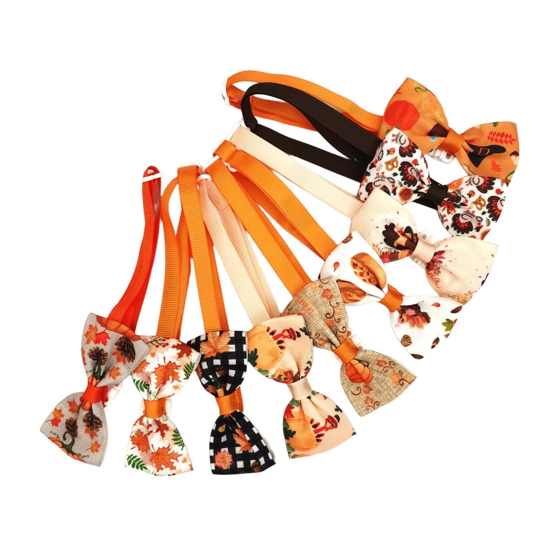 IMG_20231031_142141_副本