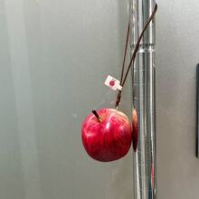 �}�Q���Շ��з���t�O���������ins�L��ͨ耳׿����Ȥζ���Ů