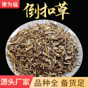 ���۲� ��ţϥ���h�ݵ��̲��~�[����ș�ģ����]�����������ă�