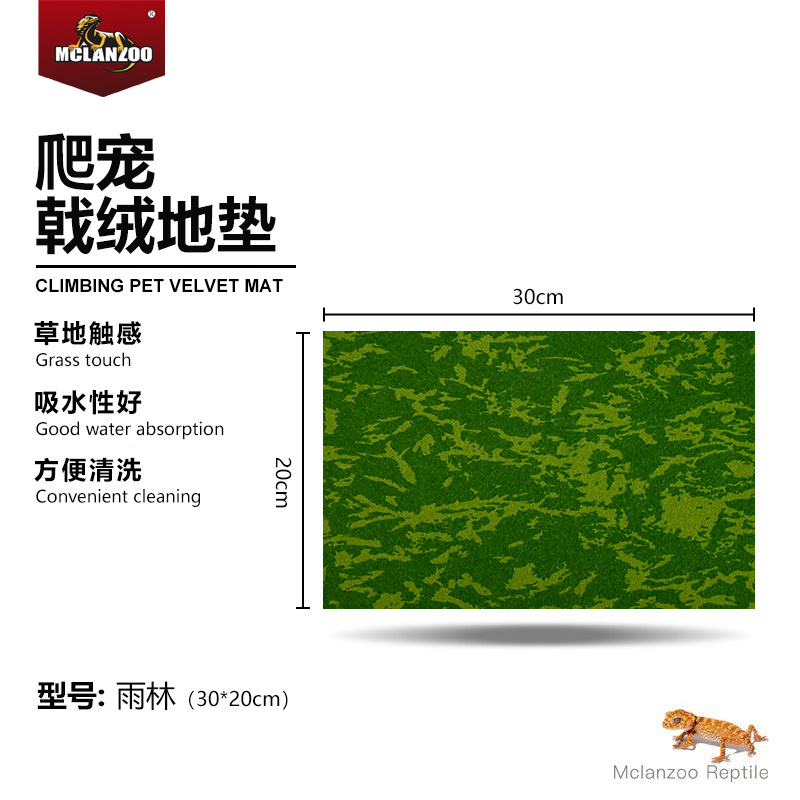 【열대우림】30*20