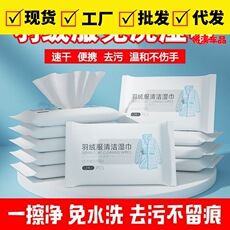 衣服羽绒服洁净湿巾清洗油抽纸免洗湿纸清洗剂衣领袖口强力神器擦 220V to 12V car cigarette lighter head socket household power converter car vacuum cleaner refrigerator adapter