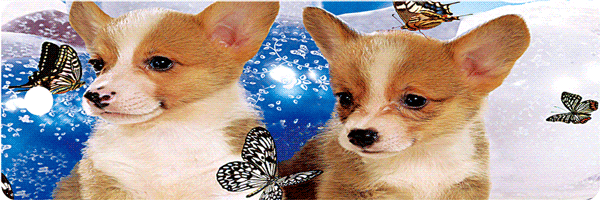 3d1c534715de8390885741a08ca174