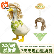 �羳�¿���Z��@�L���l�ٰl���b��ñ �Sɫ�GɫС�r���Z���b