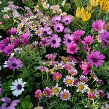 Ϸf۾ͥԺ̨ļ^~ֲ͕͟׳ɻK@{