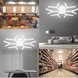 风扇灯;装饰台灯;LED球泡灯