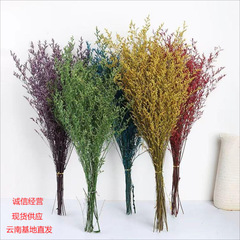 永遠の花色吸収恋人草卸売ドライフラワー恋人草メーカー卸売手作り diy 恋人草卸売花