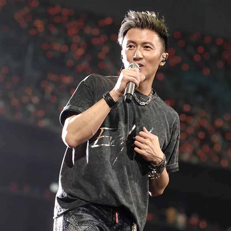 Nicholas Tse 2025 Evolution Concert Same Style Short Sleeve T-Shirt Washed Black Heavyweight Fashion Unisex Top