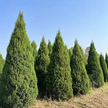 ؘɰؘɘ䌚ĹؒĹuGͺļL