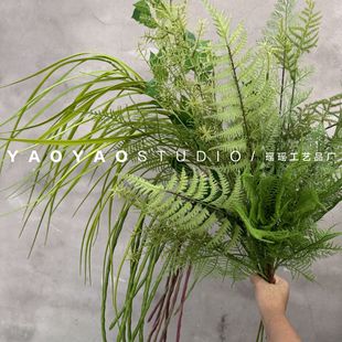 �¿���Ȼϵ�Gֲ ާ�ֲ��ɭϵ��ˇ�ڒ�����Gֲ����OӋ������