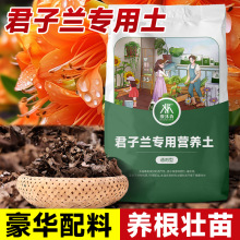 君子兰高端专用土橡树腐叶松针土壤石料椰糠松树皮泥炭颗粒营养土