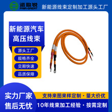 ��늙C�߉�����  EV����Դ��܇���ܾ���  ��D��Ӽӹ�����